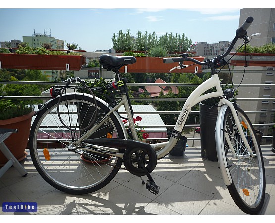Gepida Reptila 100 2011, r.misi képe városi/cruiser/fitnesz